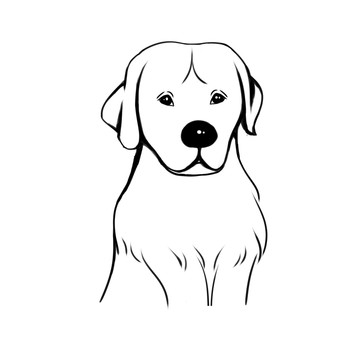 金毛狗子狗狗線稿雕刻LOGO