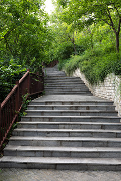 北京园博园庭院风景