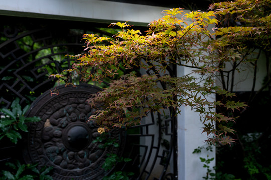 北京园博园庭院风景