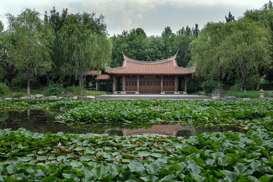 北京园博园庭院风景