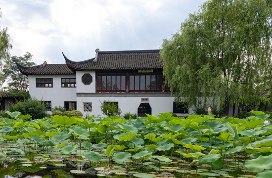 北京园博园庭院风景