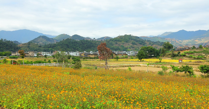 福建风光