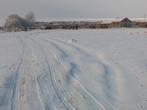 冬季乡村雾凇雪地车辙