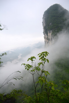 云雾山水