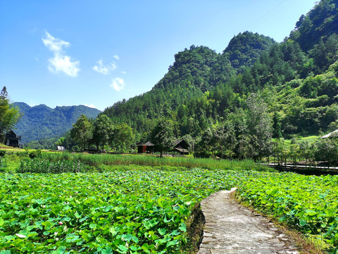 黔江土家十三寨