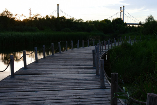 河岸风景