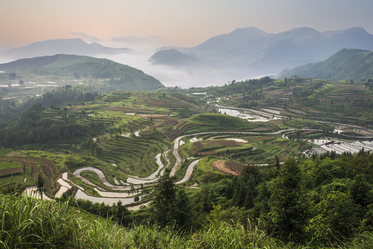 茗岙梯田风光