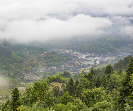 茗岙梯田风光