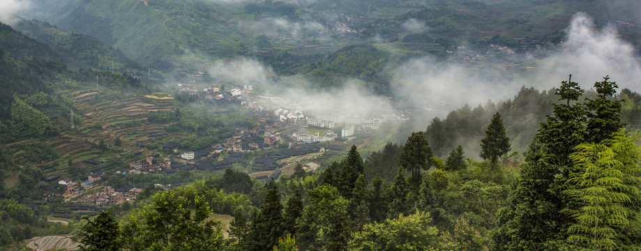 茗岙梯田风光