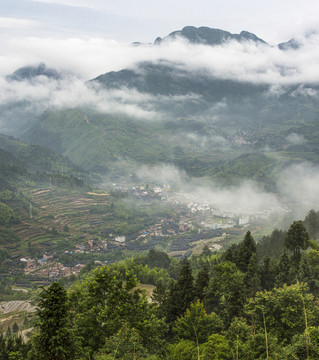 茗岙梯田风光