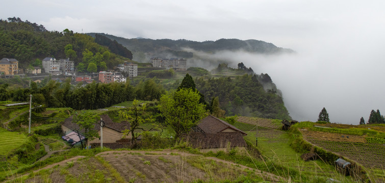 遂昌南尖岩风光