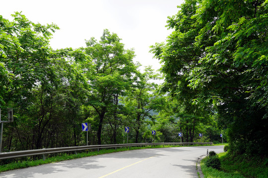 带转弯标志的下山公路