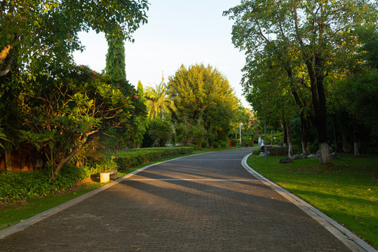 城市公园步道景观