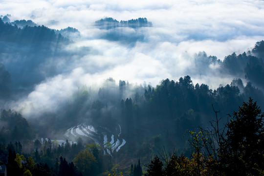 雾绕山村