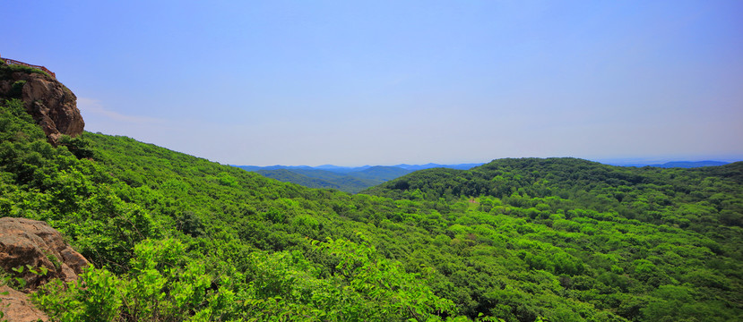 远山森林