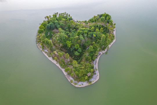 石岩湖湿地公园