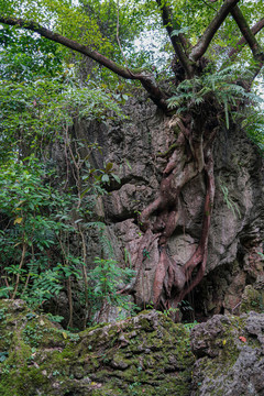 贵州黄果树大瀑布风光大自然