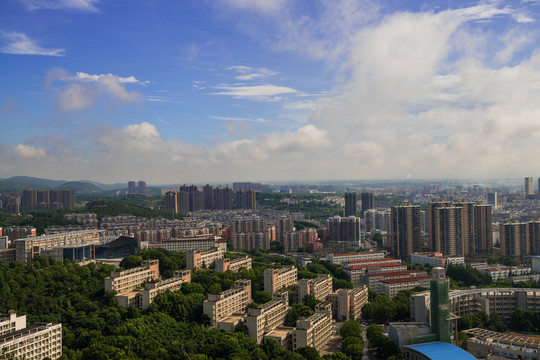 荆楚理工学院全景