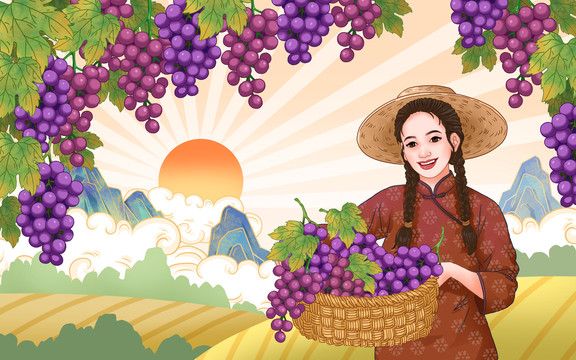 葡萄包裝插畫