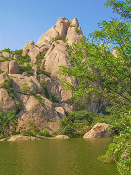 嵖岈山秀蜜湖蜜腊峰