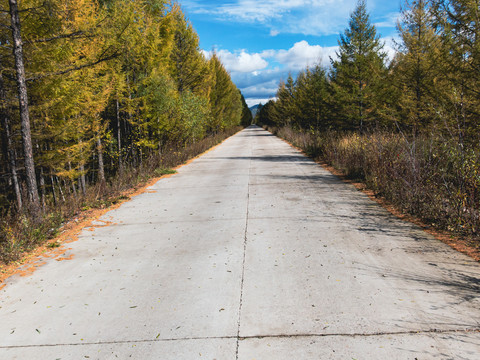 森林公园景区道路