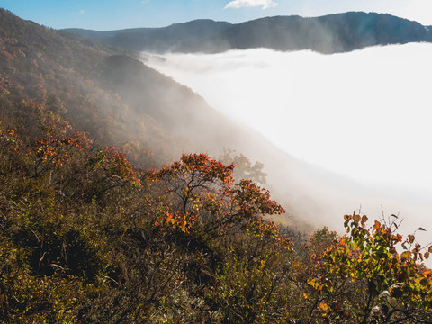 山峦云雾云海森林