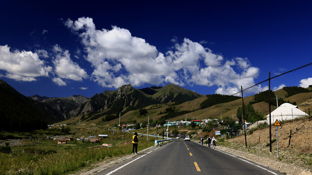 高山林牧区风光