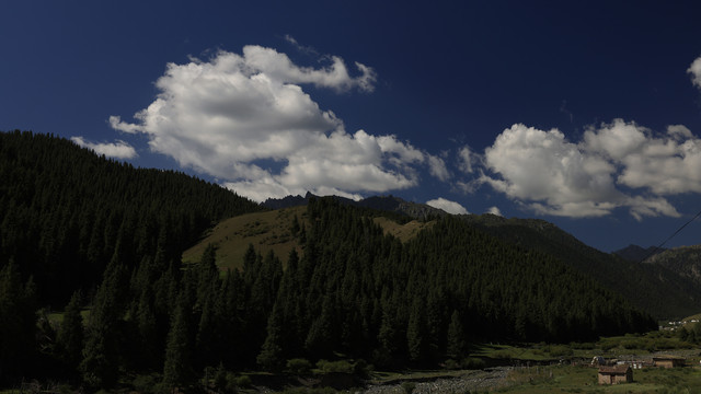 高山林牧区风光