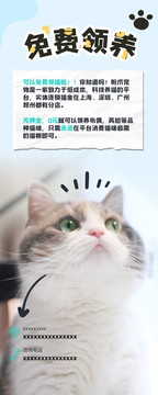領(lǐng)養(yǎng)海報