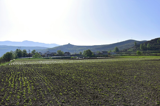 乡村风光