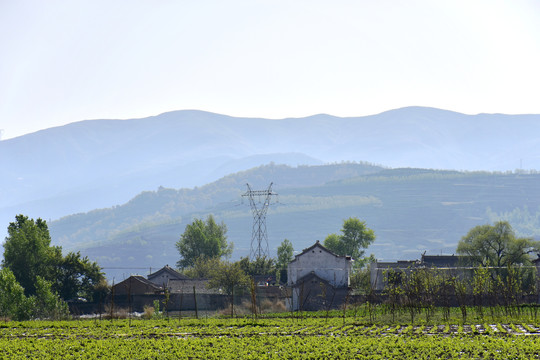 乡村风光