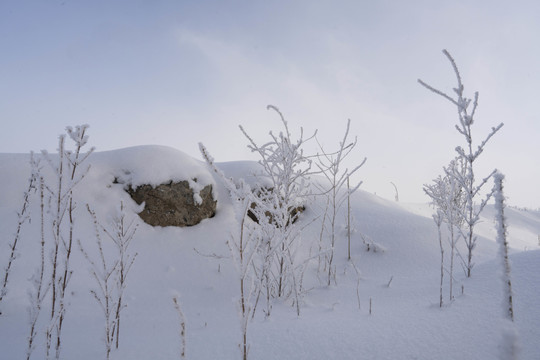 雪景