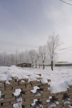 雪景