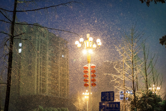 城市下雪路灯雪景