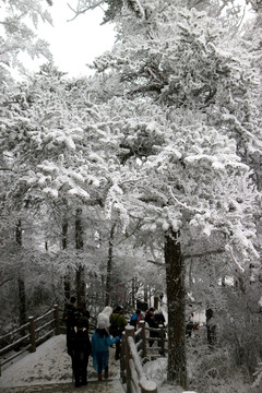 峨眉山雪景