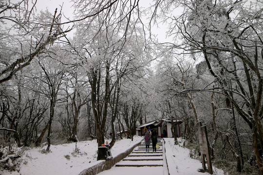 峨眉山雪景