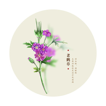 老鸛草