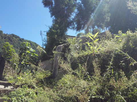 复古建筑风景