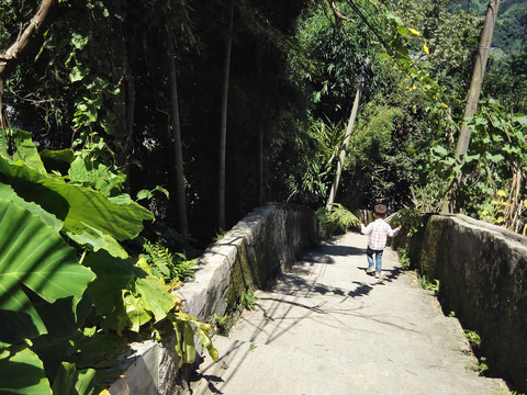 复古老建筑石屋石梯旧屋乡村