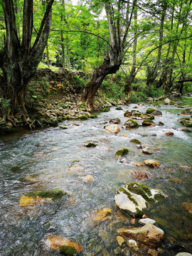 小河流水