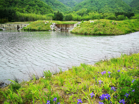 湿地公园