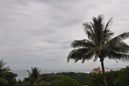 大海海滩风光