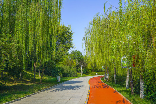 公園步道