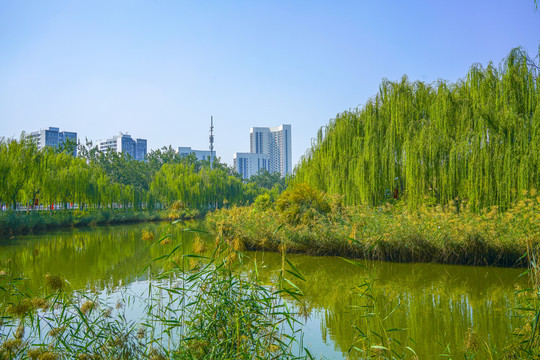 河道景观城市河流绿化