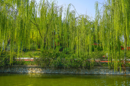 河道景观河岸造景