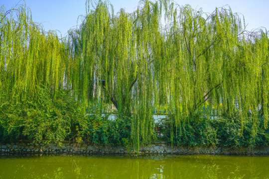 河道景观河岸造景