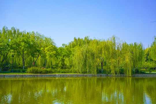 河道景观河岸造景