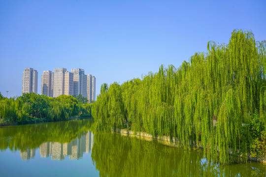 河道景观河岸造景