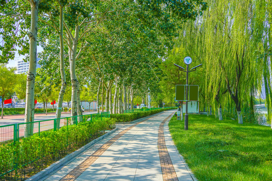 园林步道小路林荫小路