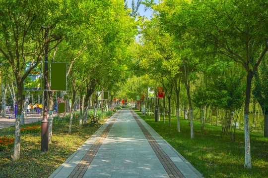 园林步道小路林荫小路